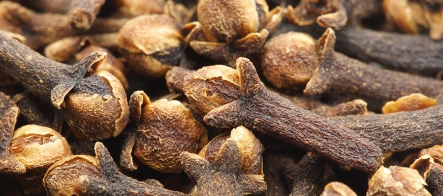 Clavo de olor Imagen destacada 2 tienda online incienso tienda esencia producto india inciensosho