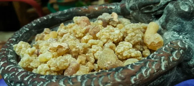 copal-portada.inciensoshop-1