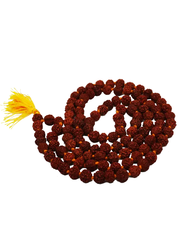 Rosario de Rudraksha