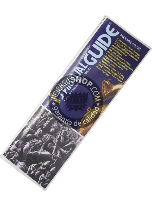 padmini-spiritual-guide-caja-frontal-copia