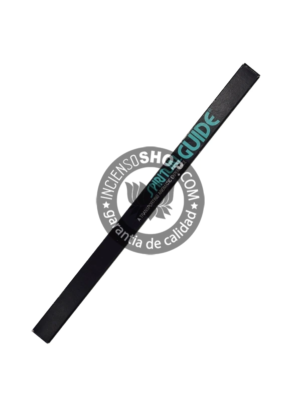 padmini-spiritual-guide-cenital-copia