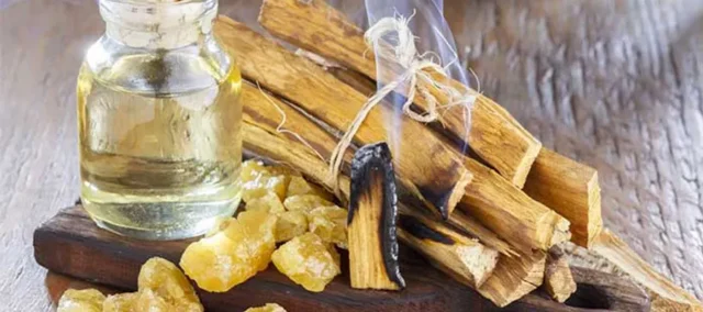 portada-palo-santo.inciensoshop