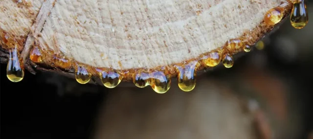 portada-resinas-para-quemar-inciensos.inciensoshop