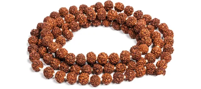 Imagen de portada que destaca cuentas de Rudraksha junto a inciensos o esencias, promocionando productos espirituales y aromáticos en la tienda online Inciensoshop.