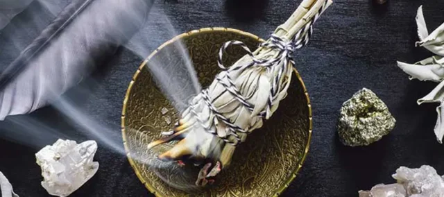 portada-salvia-blancia.inciensoshop