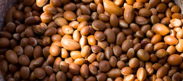 Imagen de portada que destaca el aceite de argán, mostrando el fruto del árbol de argán y el aceite dorado en un frasco, simbolizando la cosmética natural y las propiedades nutritivas.