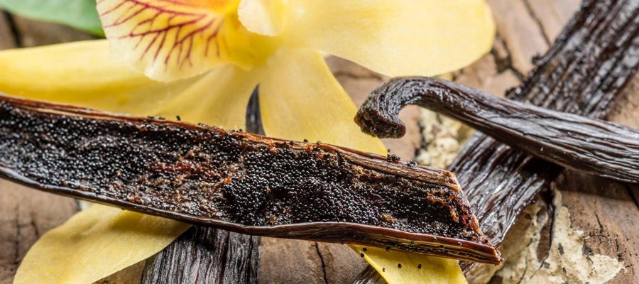 vainilla blog tienda online incienso tienda online de esencia productos de la india inciensoshop