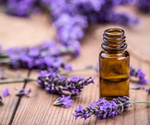 aromas de esencias naturales