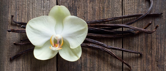 Flor de vainilla