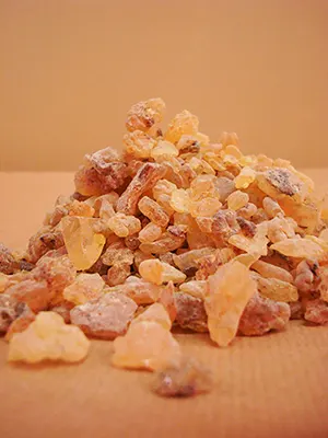 El copal es una resina obtenida de árboles del género Bursera.